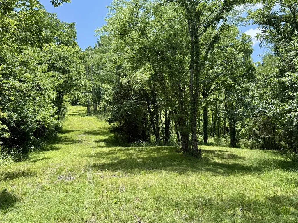40 Mahan Lane Elmwood TN 38560