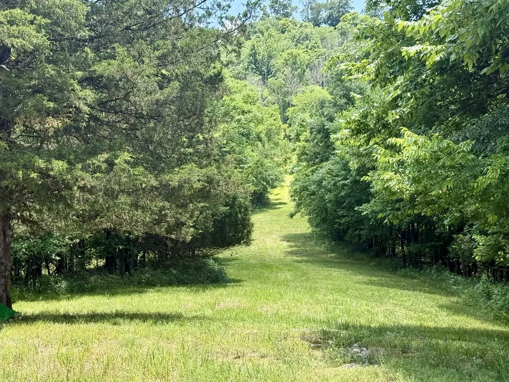 40 Mahan Lane Elmwood TN 38560