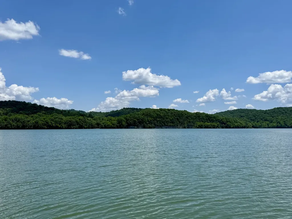 40 Mahan Lane Elmwood TN 38560