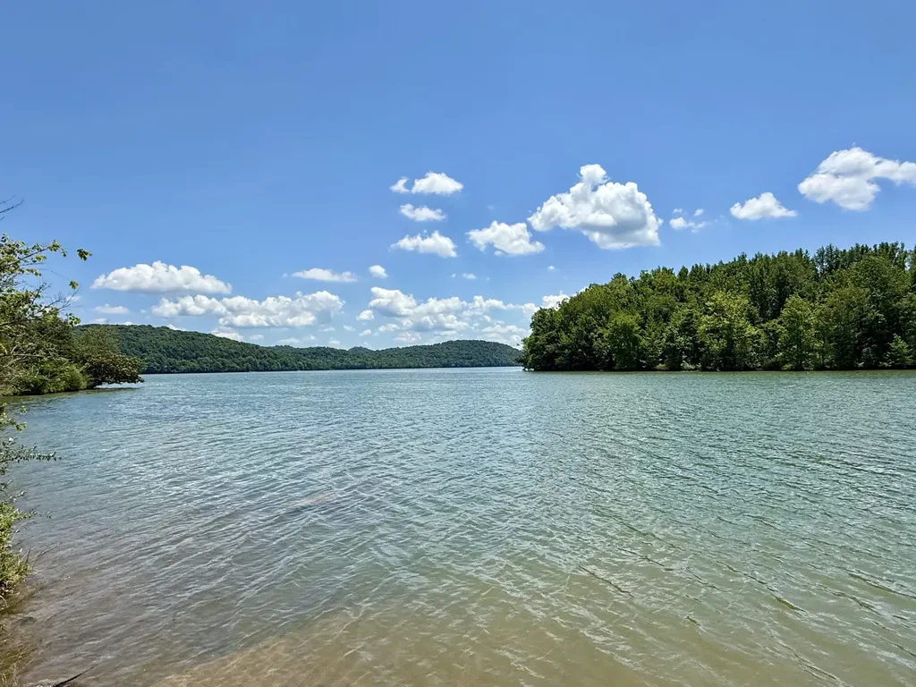 40 Mahan Lane Elmwood TN 38560