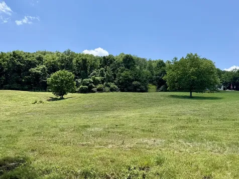 40 Mahan Lane Elmwood TN 38560
