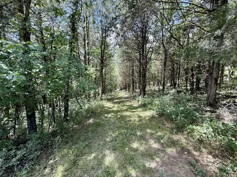 40 Mahan Lane Elmwood TN 38560