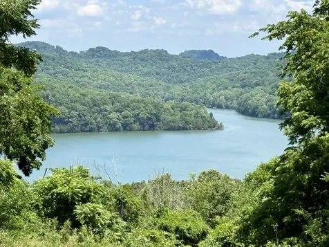 40 Mahan Lane Elmwood TN 38560