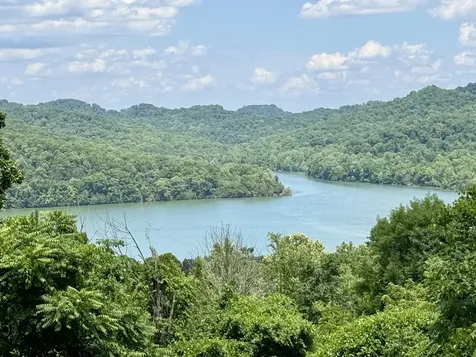 40 Mahan Lane Elmwood TN 38560
