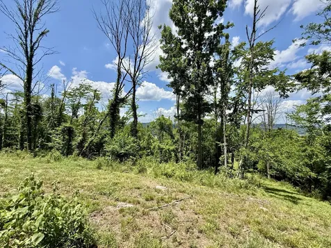 40 Mahan Lane Elmwood TN 38560