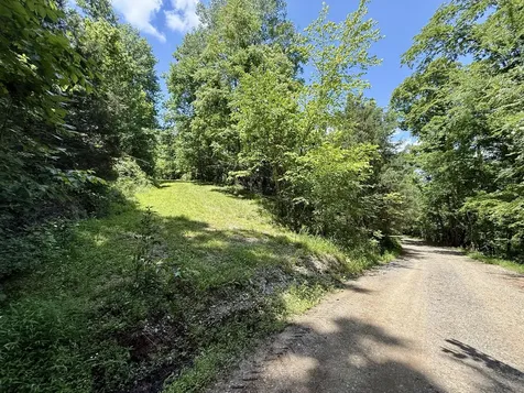 40 Mahan Lane Elmwood TN 38560