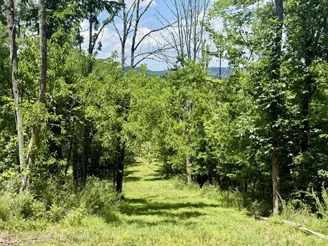 40 Mahan Lane Elmwood TN 38560
