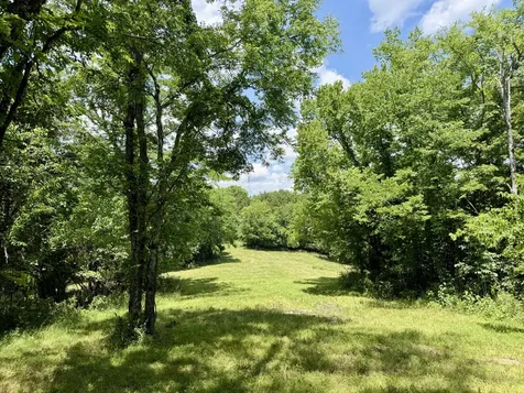 40 Mahan Lane Elmwood TN 38560