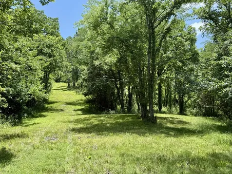40 Mahan Lane Elmwood TN 38560