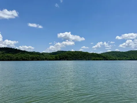 40 Mahan Lane Elmwood TN 38560