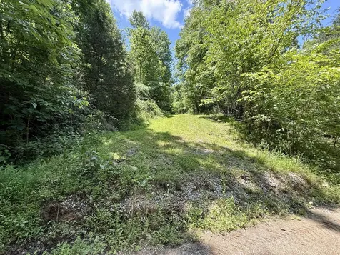 40 Mahan Lane Elmwood TN 38560