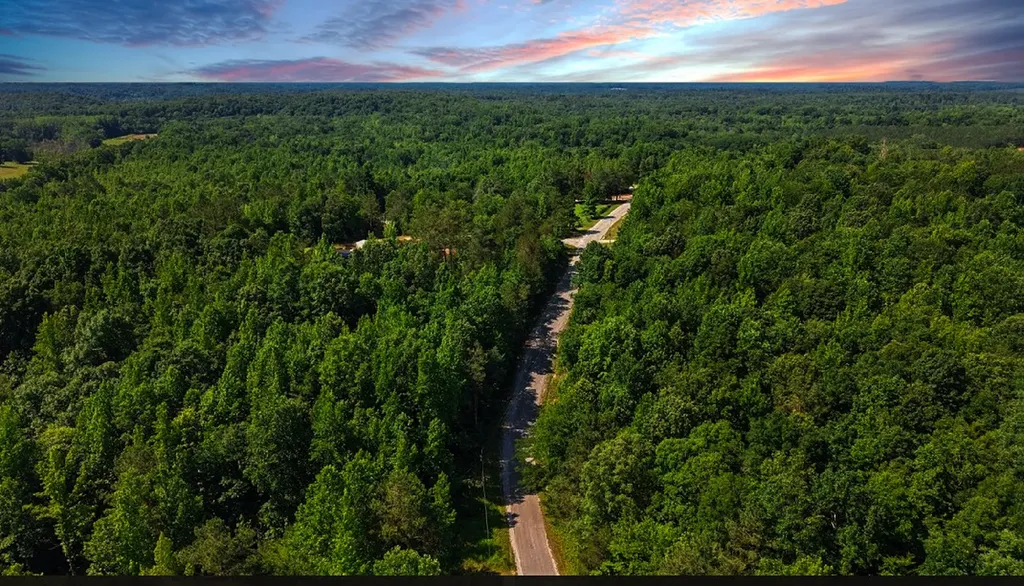 0 Beech Ridge Road Parsons TN 38363