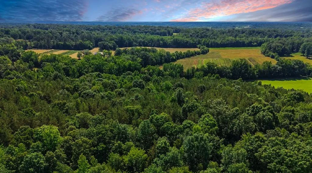 0 Beech Ridge Road Parsons TN 38363