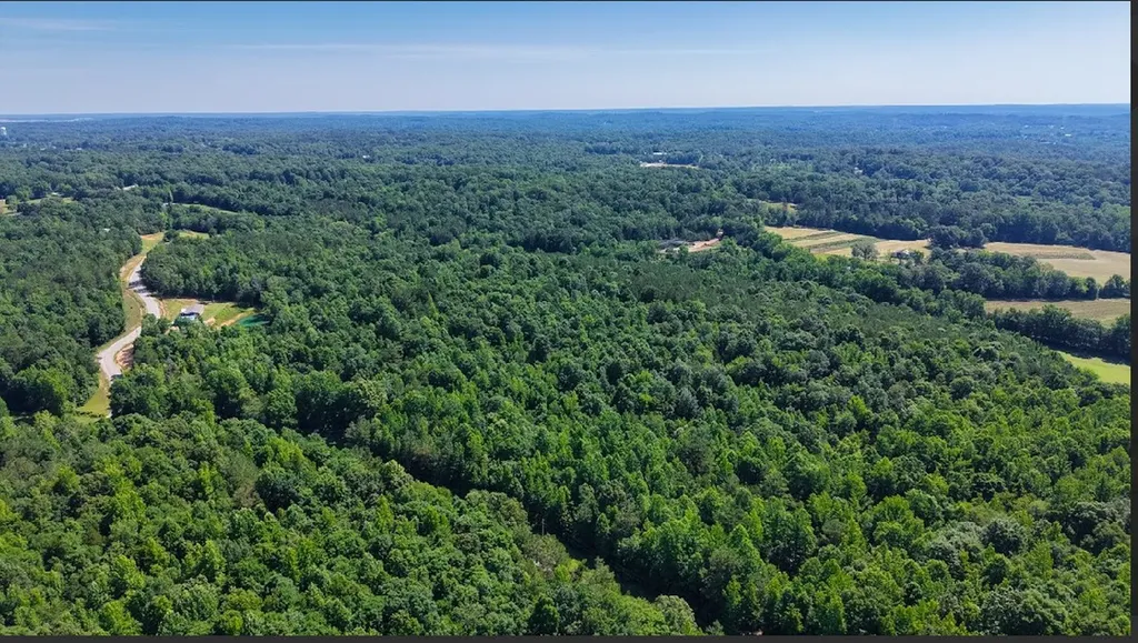 0 Beech Ridge Road Parsons TN 38363