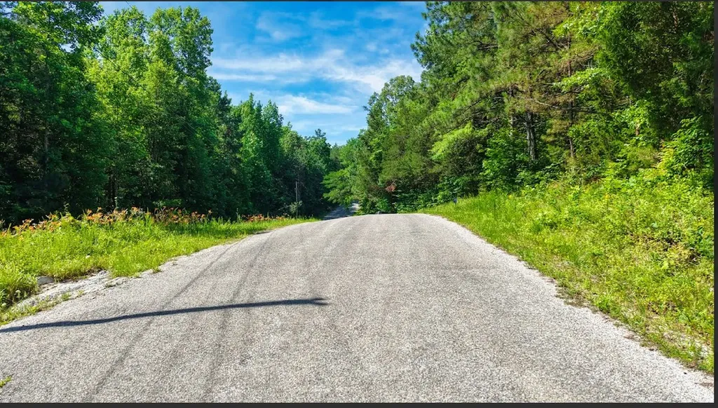 0 Beech Ridge Road Parsons TN 38363