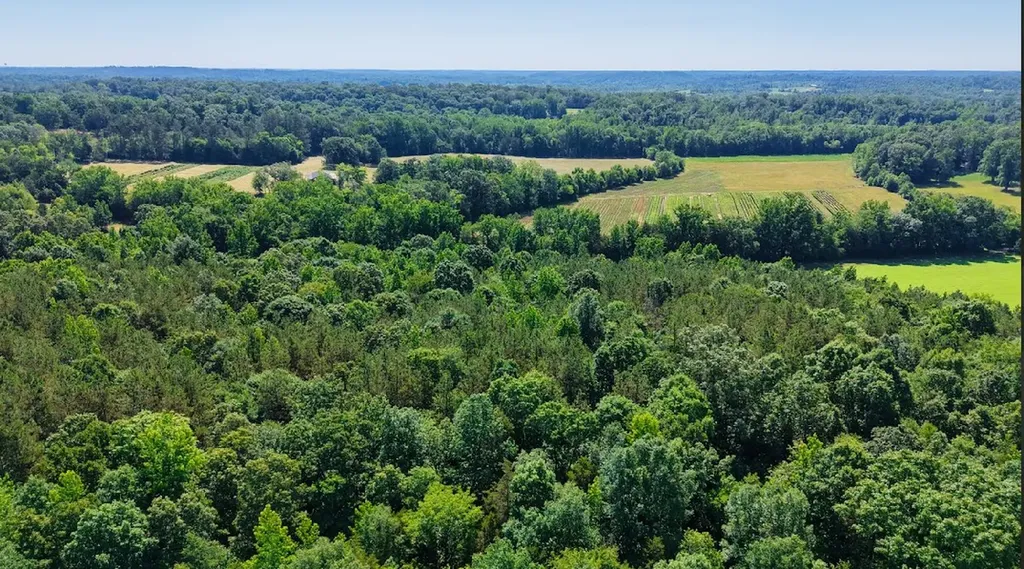 0 Beech Ridge Road Parsons TN 38363