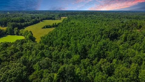 0 Beech Ridge Road Parsons TN 38363