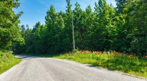 0 Beech Ridge Road Parsons TN 38363