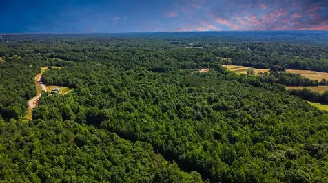 0 Beech Ridge Road Parsons TN 38363