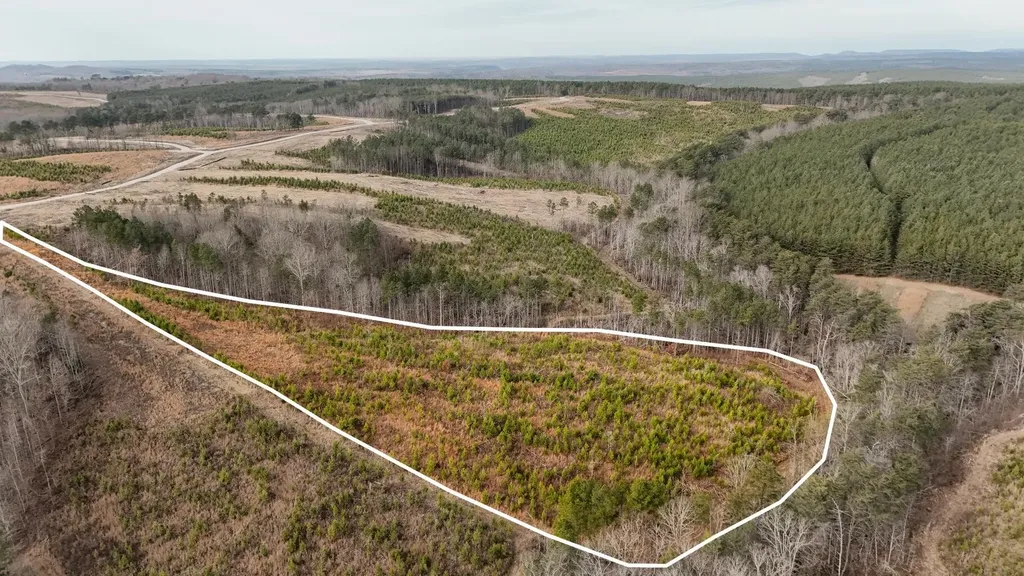 0 State Route 399 Lot 13 Dunlap TN 37327