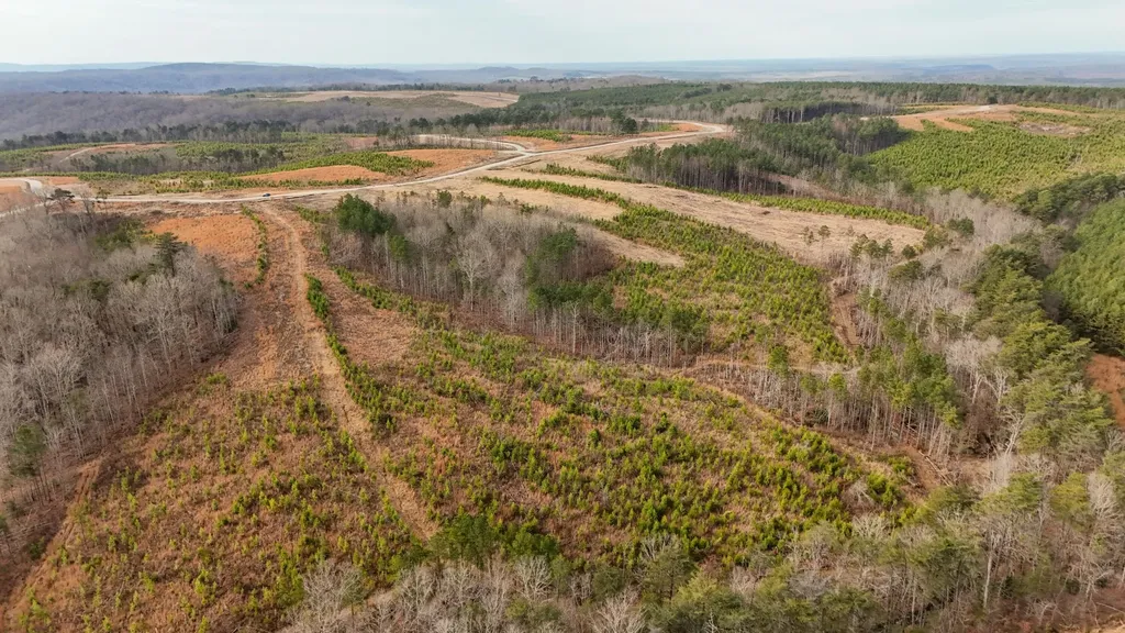 0 State Route 399 Lot 13 Dunlap TN 37327