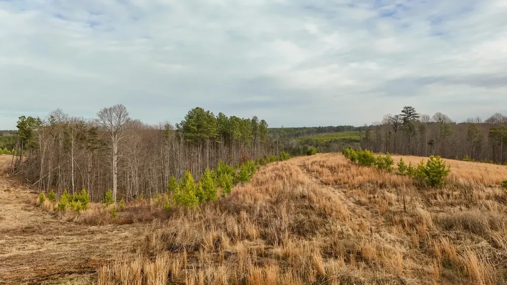 0 State Route 399 Lot 13 Dunlap TN 37327