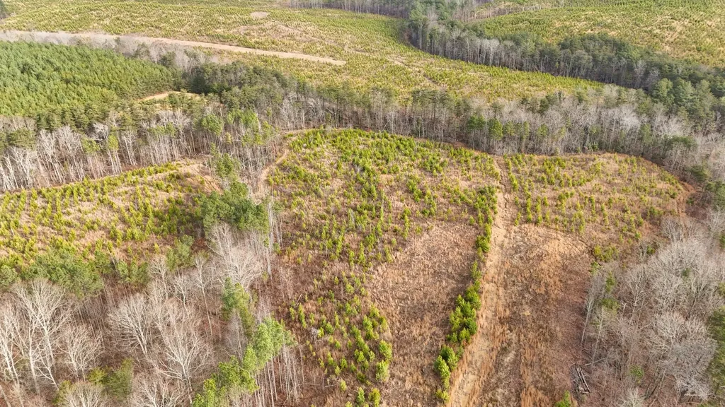 0 State Route 399 Lot 13 Dunlap TN 37327