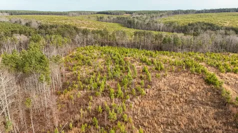 0 State Route 399 Lot 13 Dunlap TN 37327