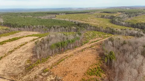 0 State Route 399 Lot 13 Dunlap TN 37327