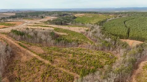 0 State Route 399 Lot 13 Dunlap TN 37327