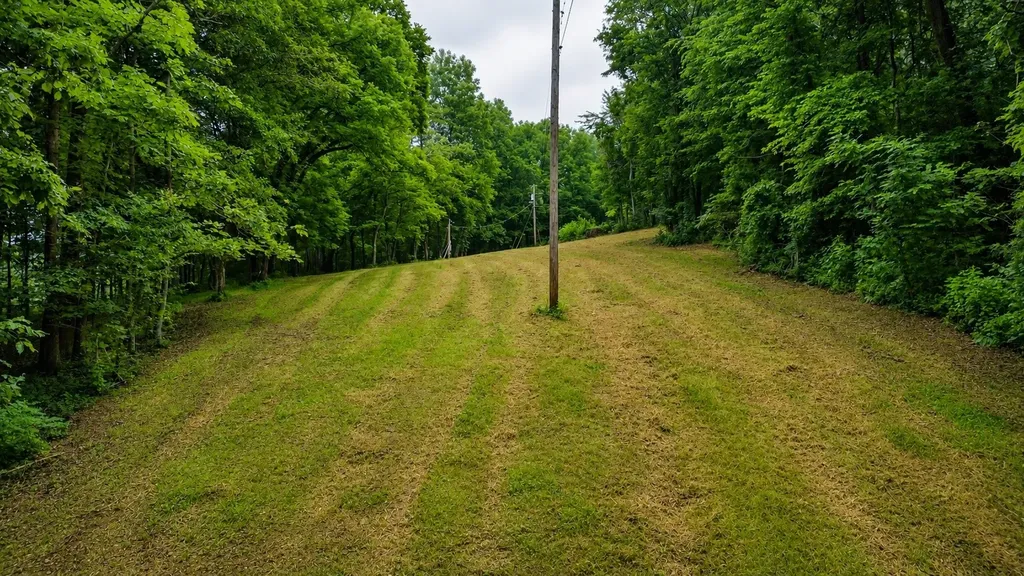 1299 Dixon Town Road Prospect TN 38477