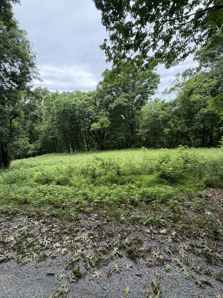 1299 Dixon Town Road Prospect TN 38477