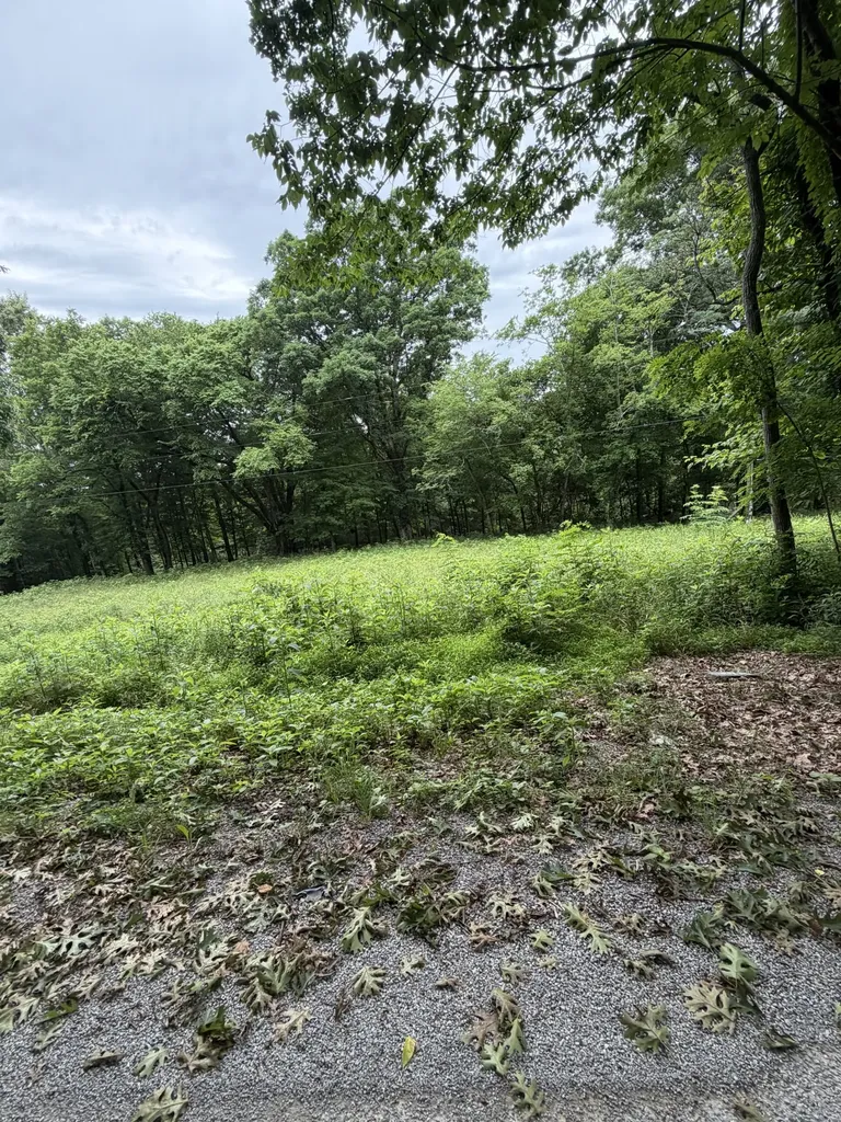 1299 Dixon Town Road Prospect TN 38477