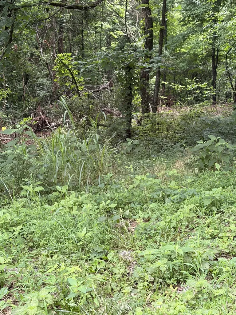 1299 Dixon Town Road Prospect TN 38477