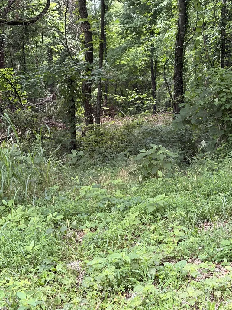 1299 Dixon Town Road Prospect TN 38477