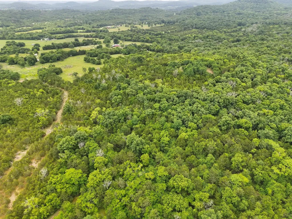 4492 Murray Kittrell Road Readyville TN 37149