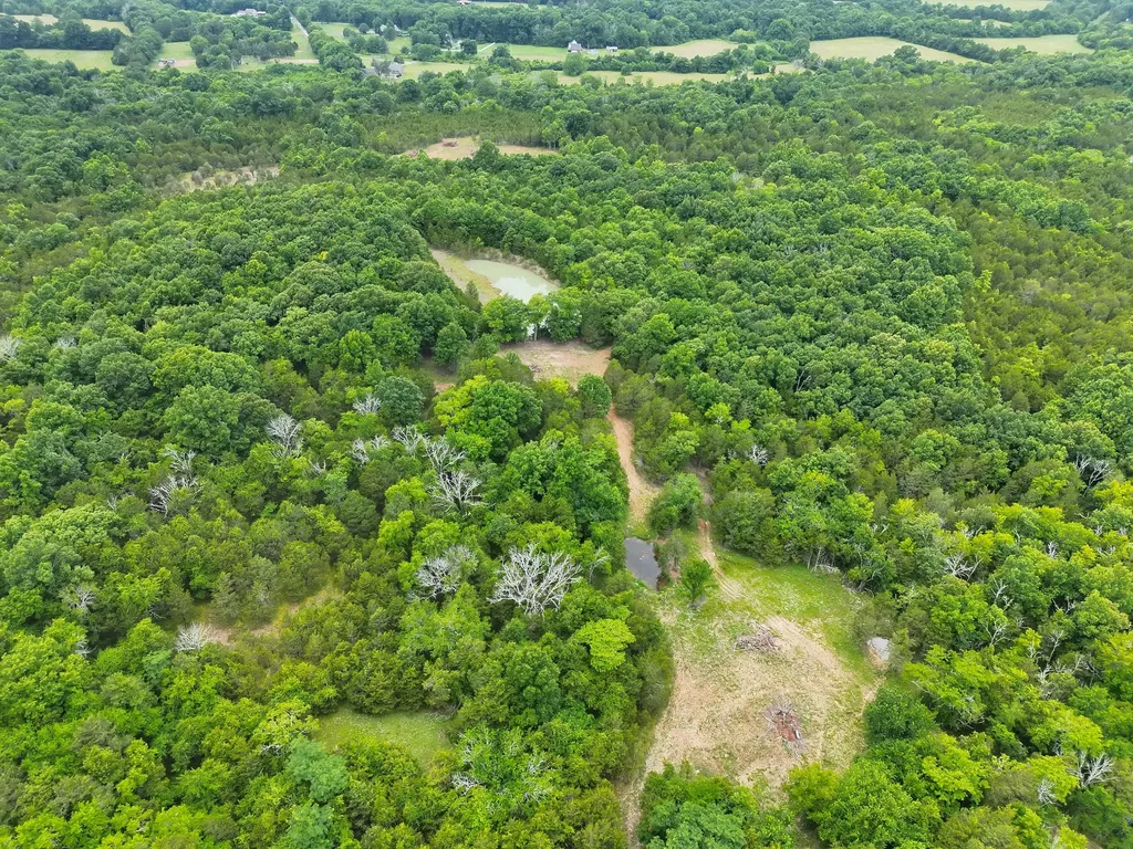 4492 Murray Kittrell Road Readyville TN 37149