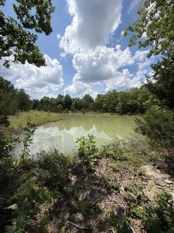 4492 Murray Kittrell Road Readyville TN 37149