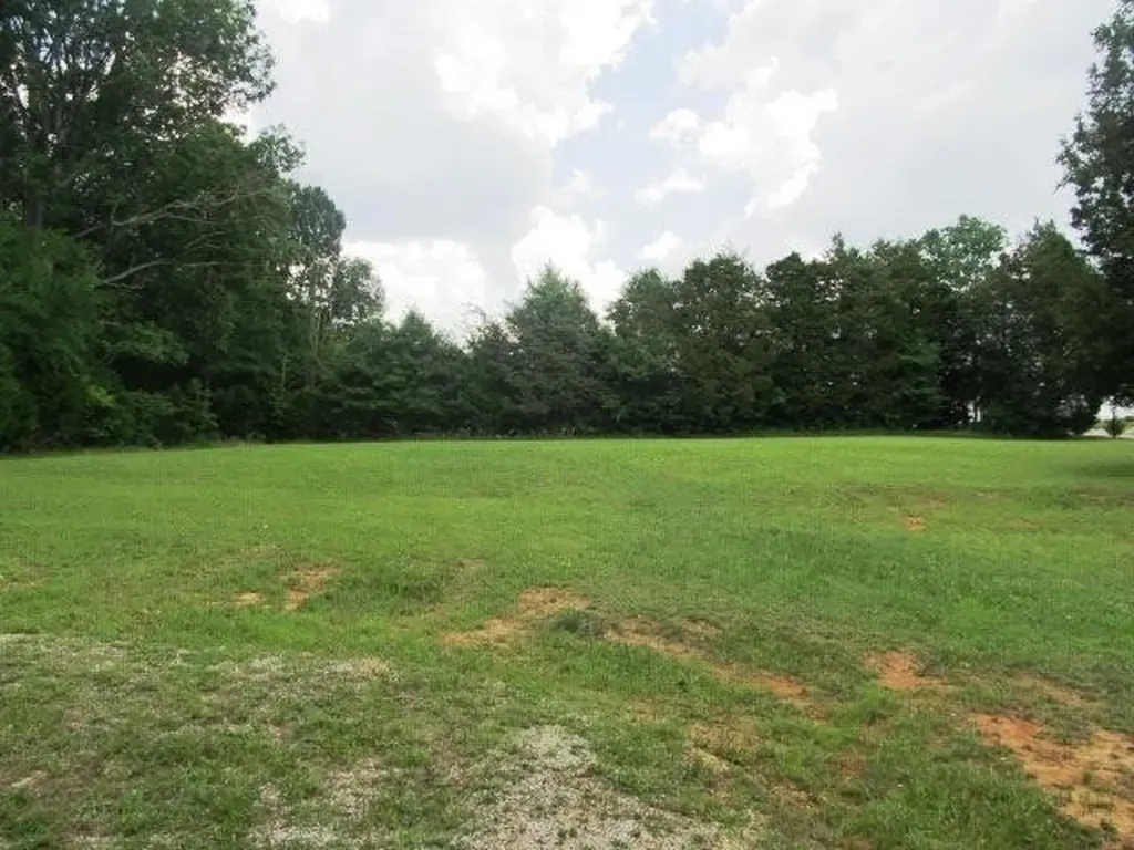 2628 Bristow Road Columbia TN 38401