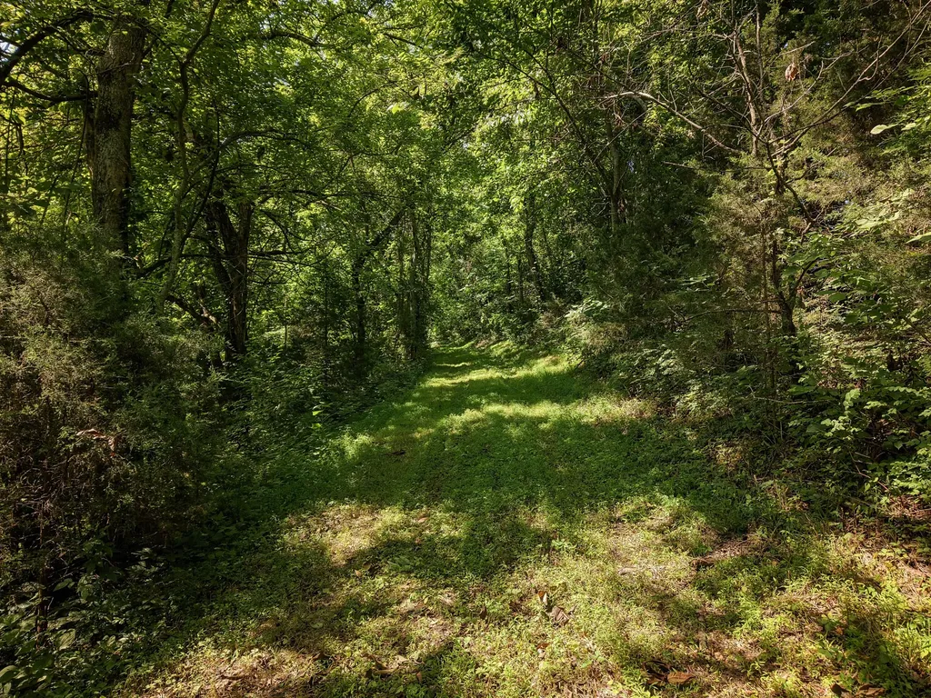 0 P Davis Road Auburntown TN 37016