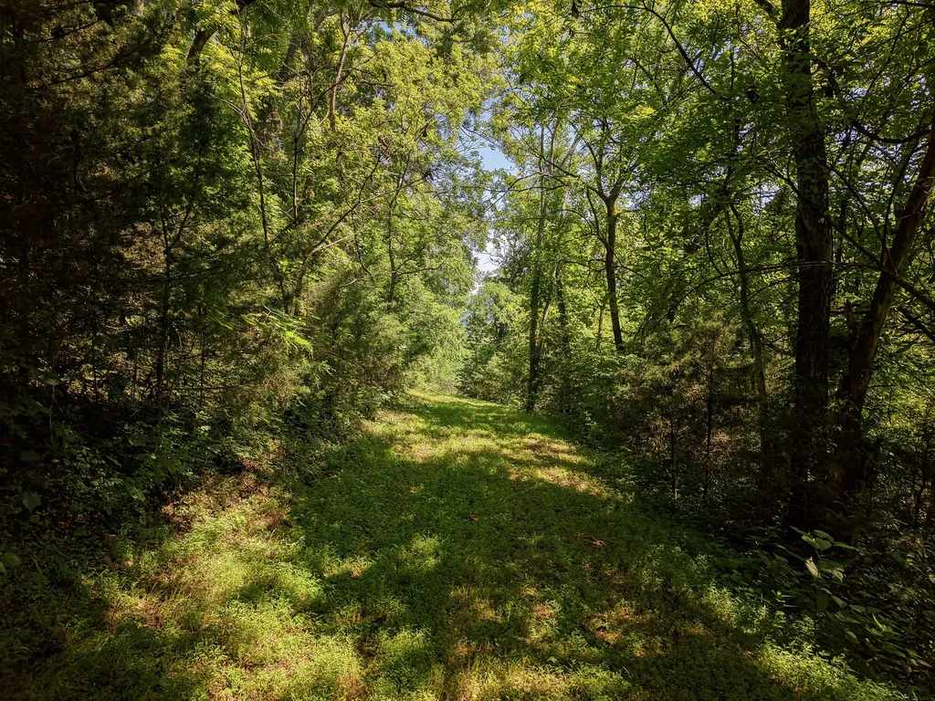 0 P Davis Road Auburntown TN 37016