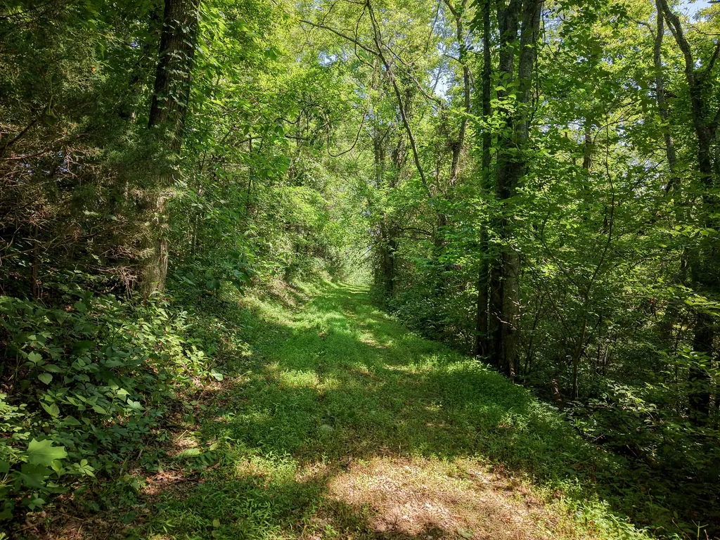 0 P Davis Road Auburntown TN 37016