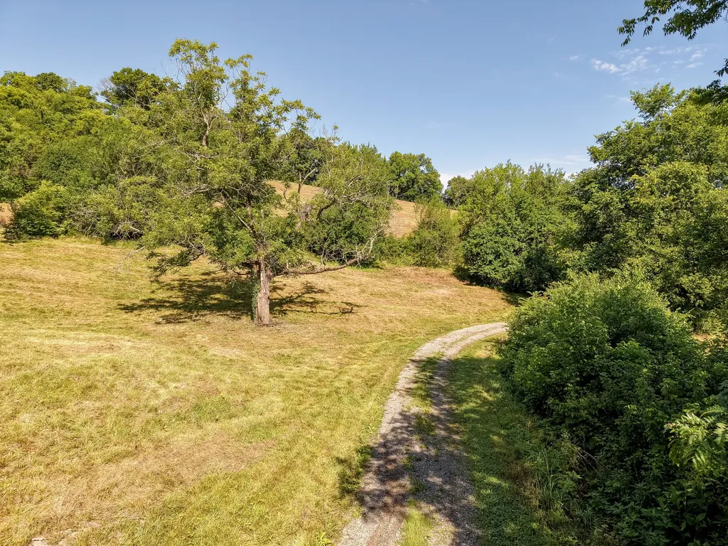 0 P Davis Road Auburntown TN 37016