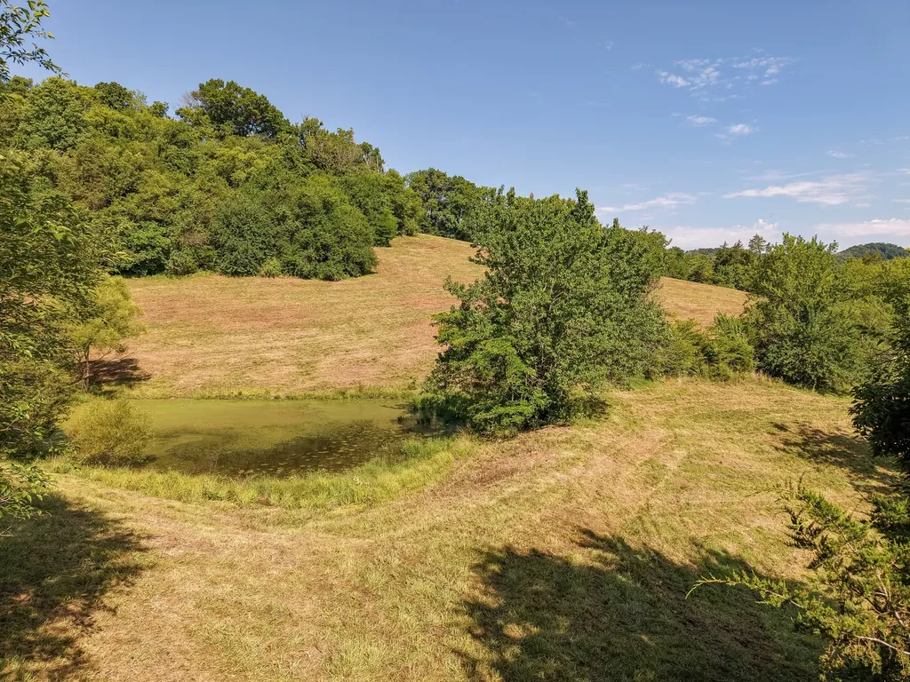 0 P Davis Road Auburntown TN 37016
