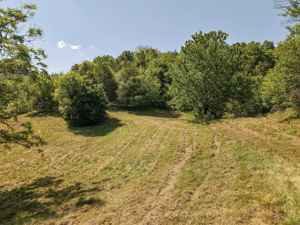 0 P Davis Road Auburntown TN 37016