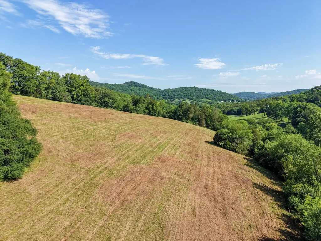 0 P Davis Road Auburntown TN 37016