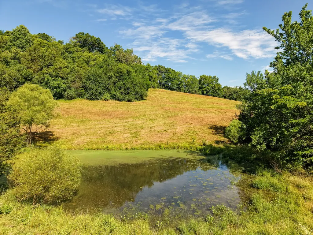 0 P Davis Road Auburntown TN 37016