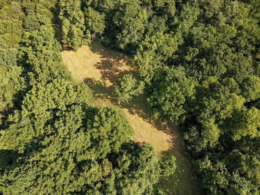 0 P Davis Road Auburntown TN 37016
