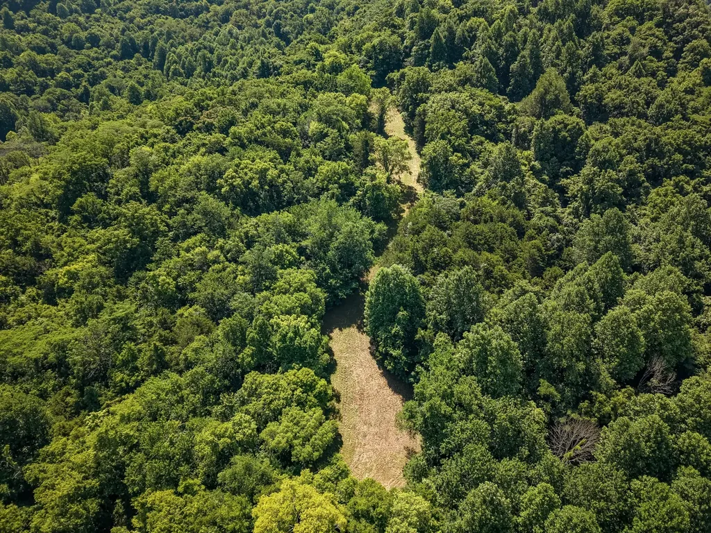 0 P Davis Road Auburntown TN 37016
