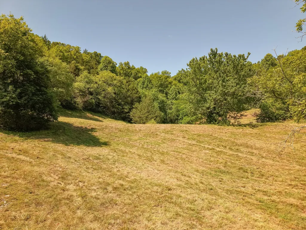 0 P Davis Road Auburntown TN 37016